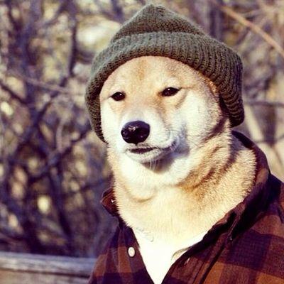 ☆セレンディピティ☆ The END x adidas ZX8000 Future Releases February 2024