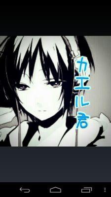 カエル君さんのプロフィール画像