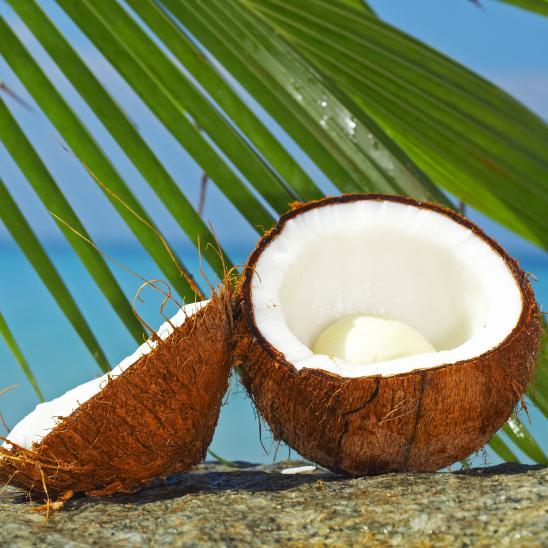 C0coNutZ's profile picture. 