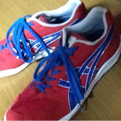 杉七小→成城中→成城高/高1/成城高校バレー部/L/#9→11