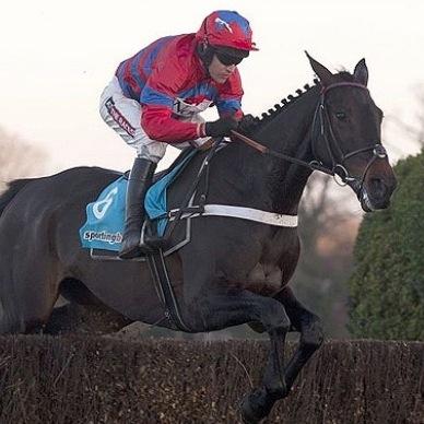 Tipster with experience of working in the betting industry. Helping people beat the bookies consistently!bhorsetipping99@hotmail.com for details on signing up!