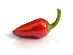 markdanielson's profile picture. I also don’t post on Bluesky (https://t.co/vS1VamRzl8)