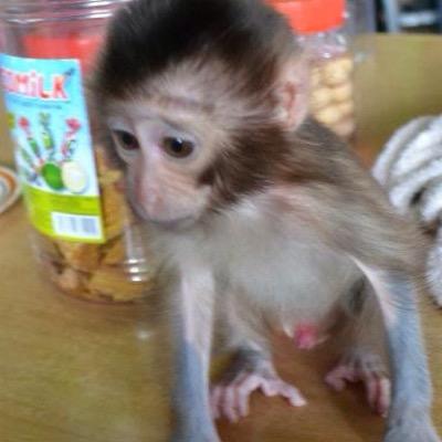 WaiHing3's profile picture. 