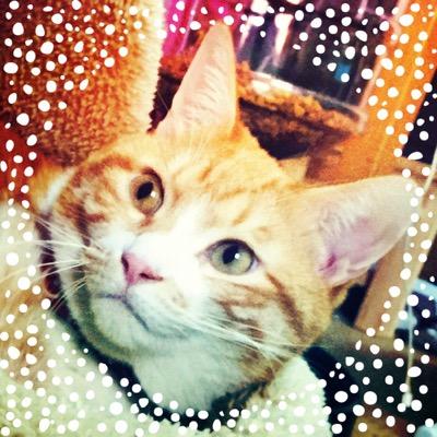 米ちさんのプロフィール画像