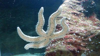 fastbyte5555's profile picture. 