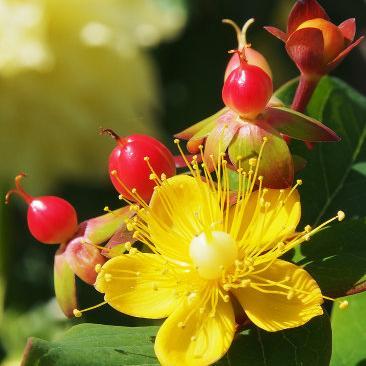 FahdRita's profile picture. If only we can just appreciate what we have been given, God will reveal Himself to us.- Radhanath Swami