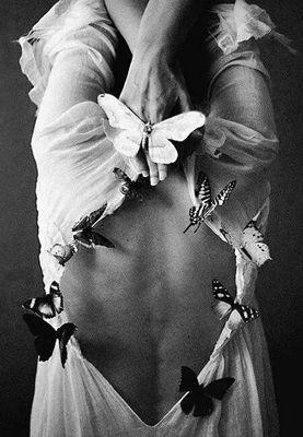 tansu133's profile picture. 