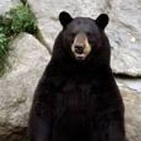 Langston Runningbear (@langston) 's Twitter Profile