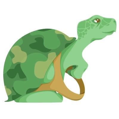 Actualité des espèces menacées et de la biodiversité française et mondiale. #biodiversite #faune #environnement https://t.co/vIDgyRx3xk