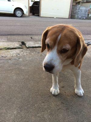 tttommme's profile picture. Twitterよくわかってません💦
失礼があったらすみません💧