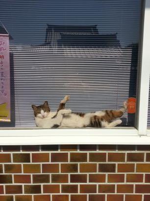 iwashi0722's profile picture. 