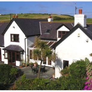 StStpatricks's profile picture. 