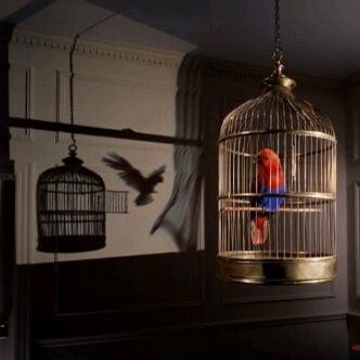 a_alharbi7_7's profile picture. يشرفني متابعتكم لي ☺️