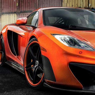 davidstefan28's profile picture. el puto amo