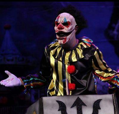 payaso del circo de la vida mu jartible y carnavalero