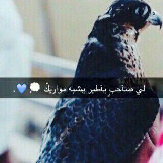 ‏‏‏‏‏‏‏‏‏‏فِـي قَلْبِـي حِكَـايَةُ صَغِيرَة ,, حُلُمٌ خَجُــولٌ ,,وَ تفَآصيل غـآليةَ _ فـي قَلْبِـي شَخْص.. يسْكُنُ بَيْنَ النَبْضَةِ وَ النَبْضَة..♡