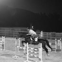 faris badr (@farisbadr3) 's Twitter Profile