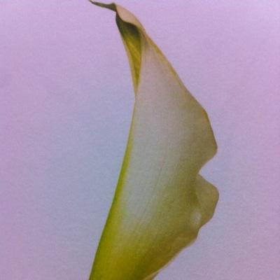 DiscrepancyM's profile picture. 