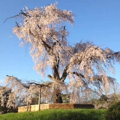 ふかみどりさんのプロフィール画像