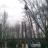 guarin70b's profile image