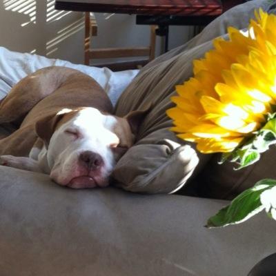 GilCharles's profile picture. 