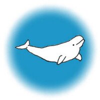 べるーが (@belugasnow) Twitter profile photo