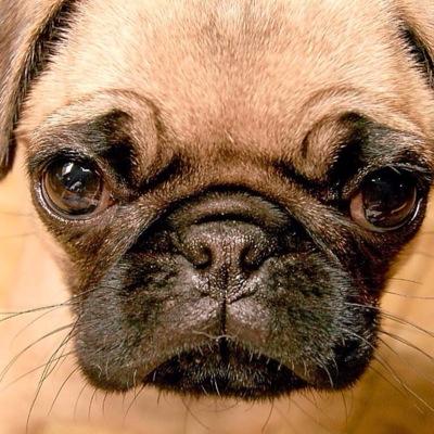 Mcallboy's profile picture. Hi if you were to follow me it would be great