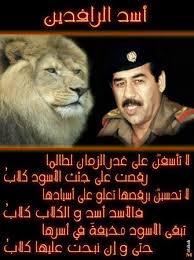 gmailco34398533's profile picture. ‏‏سبحان الله