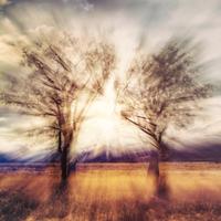 百界千如 (@chs1128kimo) 's Twitter Profile