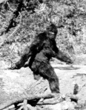 Love Bigfoot BOBO is my best friend I love the BFRO. Love Sea fishing for cod and sea bass I'm big on football ⚽ squash and mountain biking I need to hit Canada