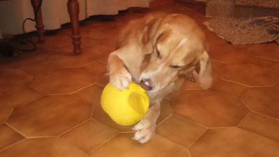 FaverotMichael's profile picture. 