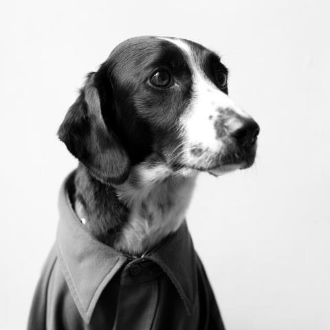 MEME_BUGUI's profile picture. 