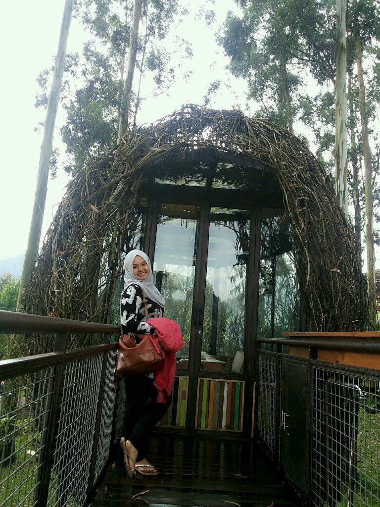 S.farm,.Apt | berjuang itu harus, masa lalu itu guru dan orang tua adalah mereka yg wajib diBahagiakan ! Amin :)