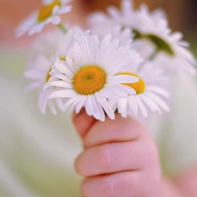 ladylamoos's profile picture. I'm a loyal & honest lady