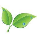 Aesthetics . Spa . Wellness . Local
Established 2006