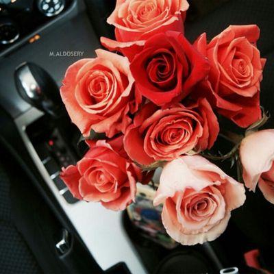 ‏‏خريجه 2015