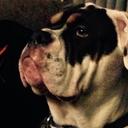 Jimmy Wallace - @TooTall09930570 - Twitter