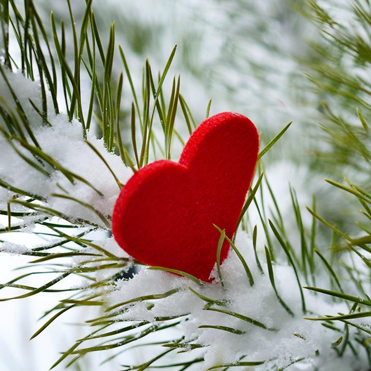 noorhan_nour's profile picture. 