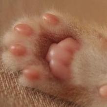 kn_sn_an's profile picture. 犬も猫もよう見とる。