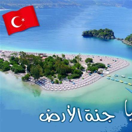 الترجمة من العربية إلى التركية حجز فندقي ومتابعة العميل وترجمة كل ما هو بحاجة له               905353412401+