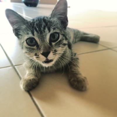 tranquiljim96's profile picture. 关注必回，美好生活一起分享