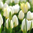 anthony - @anthony_vera04 - Twitter