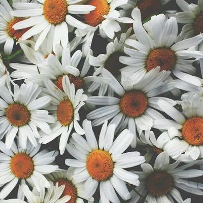 to_infnity_'s profile picture. Disney is life ✨