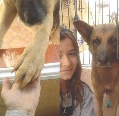 negro ❤