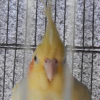 瀧口雅仁 (@bonga460523) 's Twitter Profile