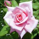 نحيا بذكر الله (@010ff101ff) Twitter