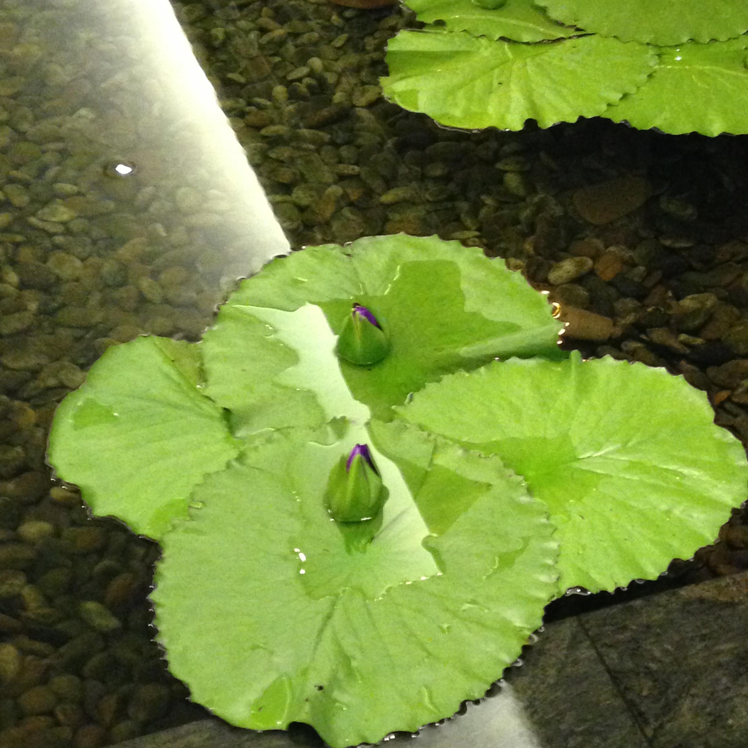 samuelharber's profile picture. 