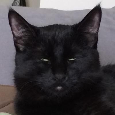 grancewood's profile picture. 