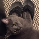 kimura_joe - @_kimura_joe - Twitter