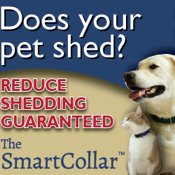 Introducing The Smart Collar!  A brand-new, revolutionary pet collar that is proven to reduce your pet shedding problems all season long regardless of the breed